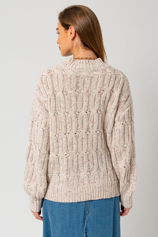 Turtle Neck Cable Knit Sweater