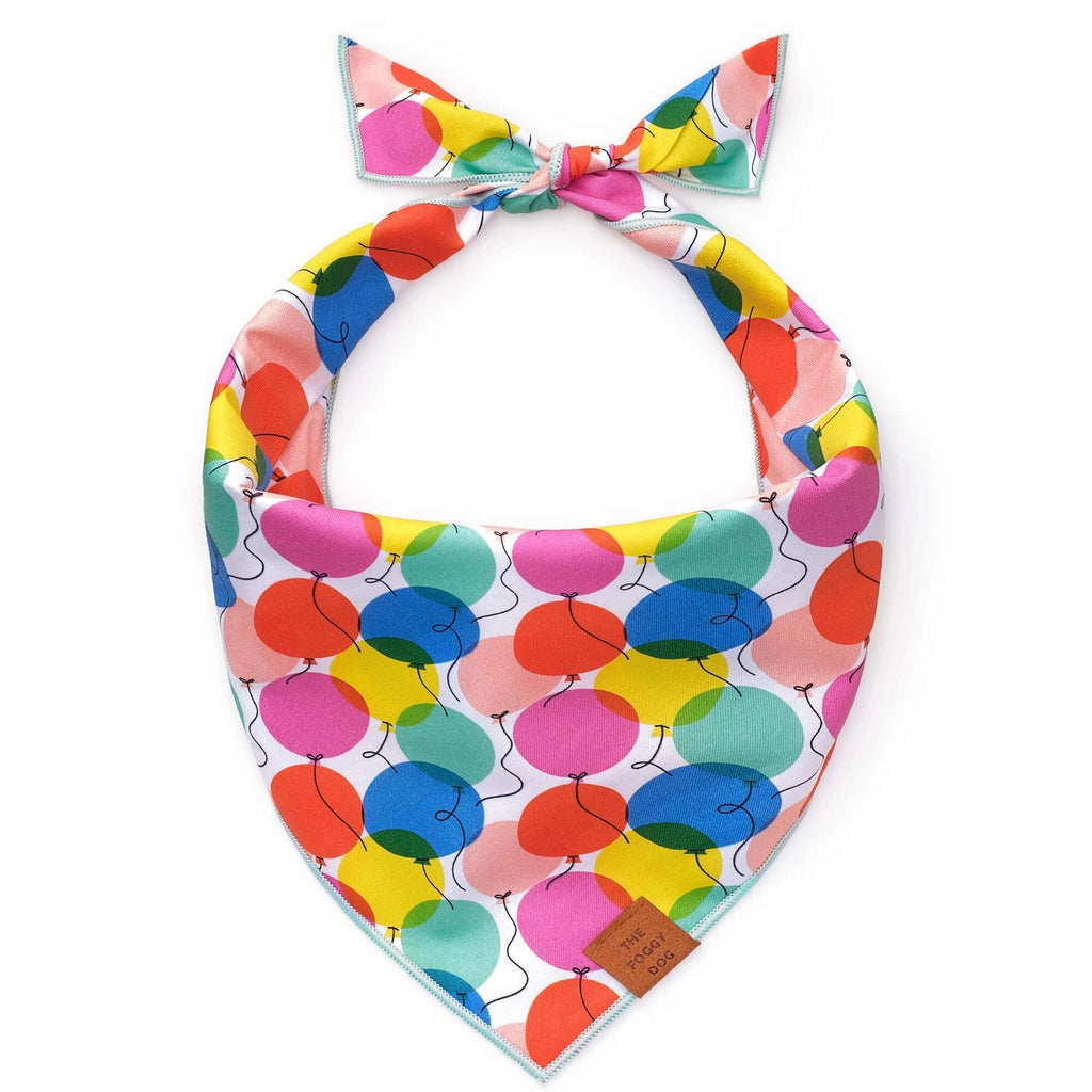 Pup, Pup, and Away Birthday Dog Bandana