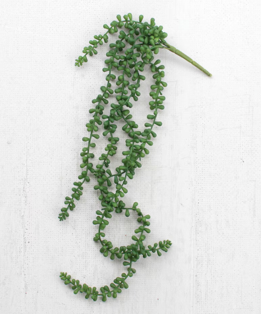 Artificial Fern Succulent