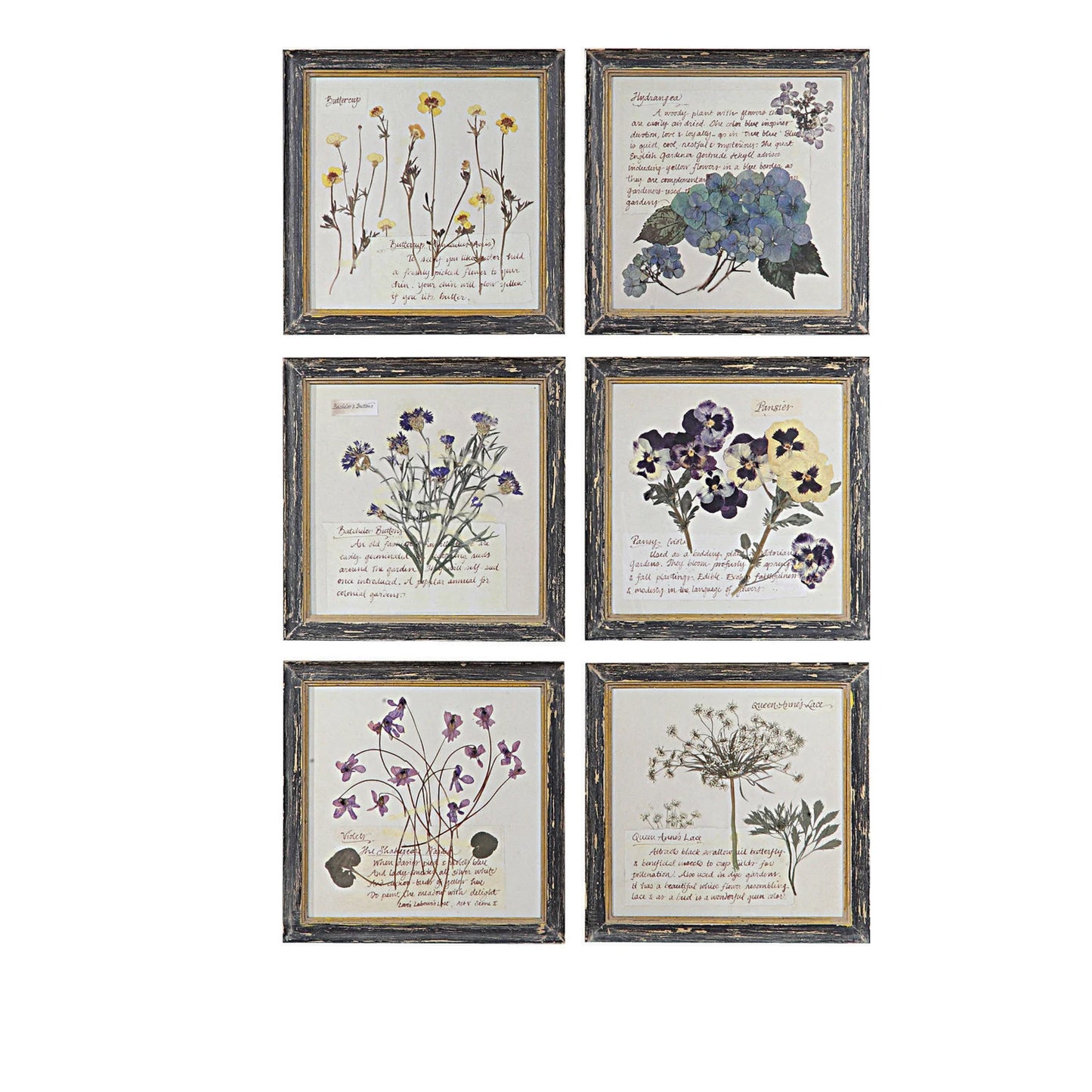 Framed Wall Decor with Floral Image