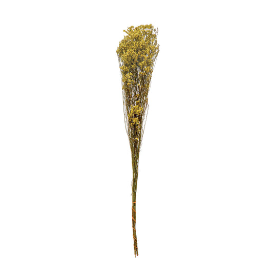 Dried Natural Love Grass Bunch, Green & Yellow