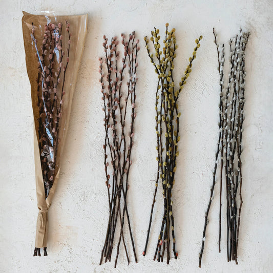 Dried Natural Pussy Willow Bunch