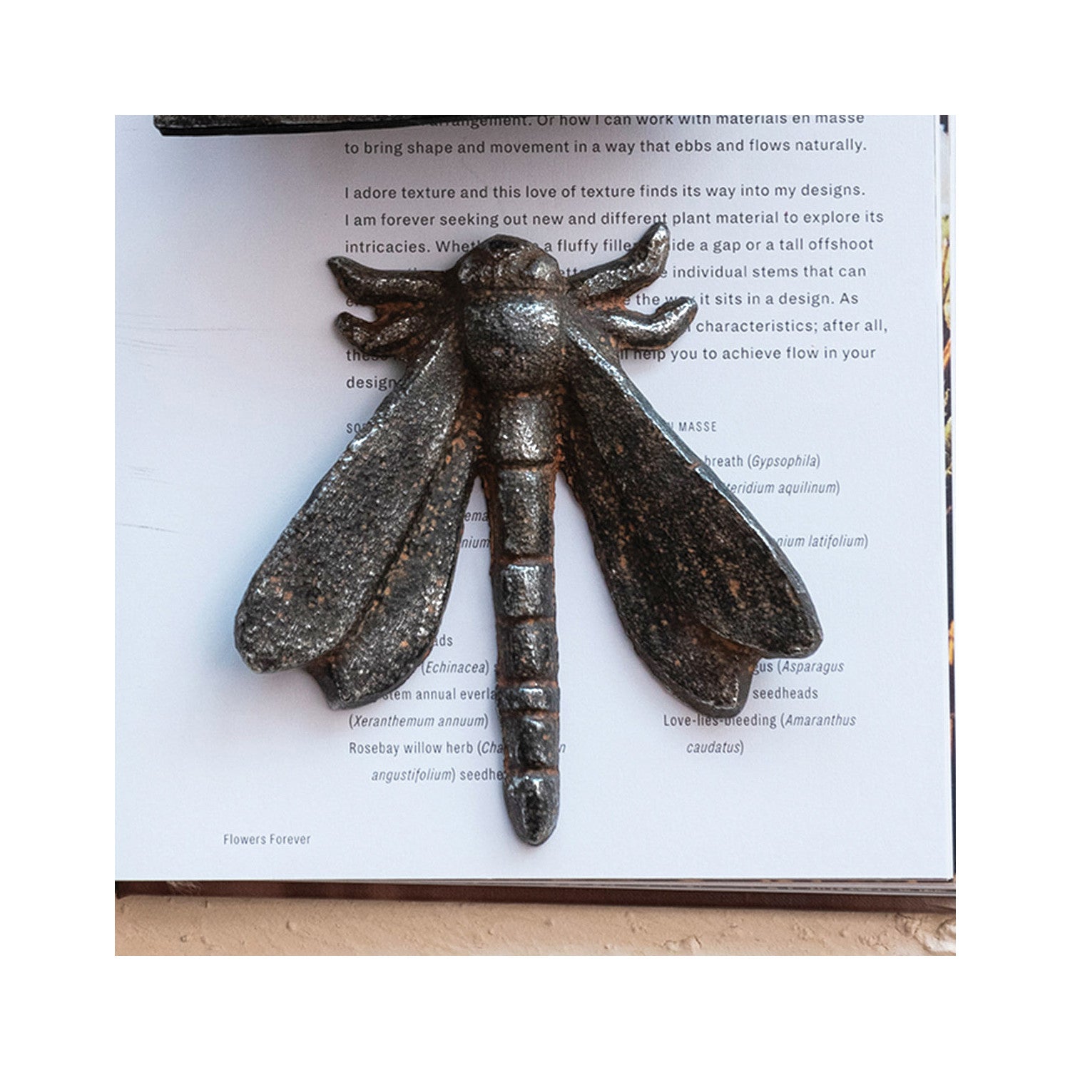 Cast Iron Dragonfly