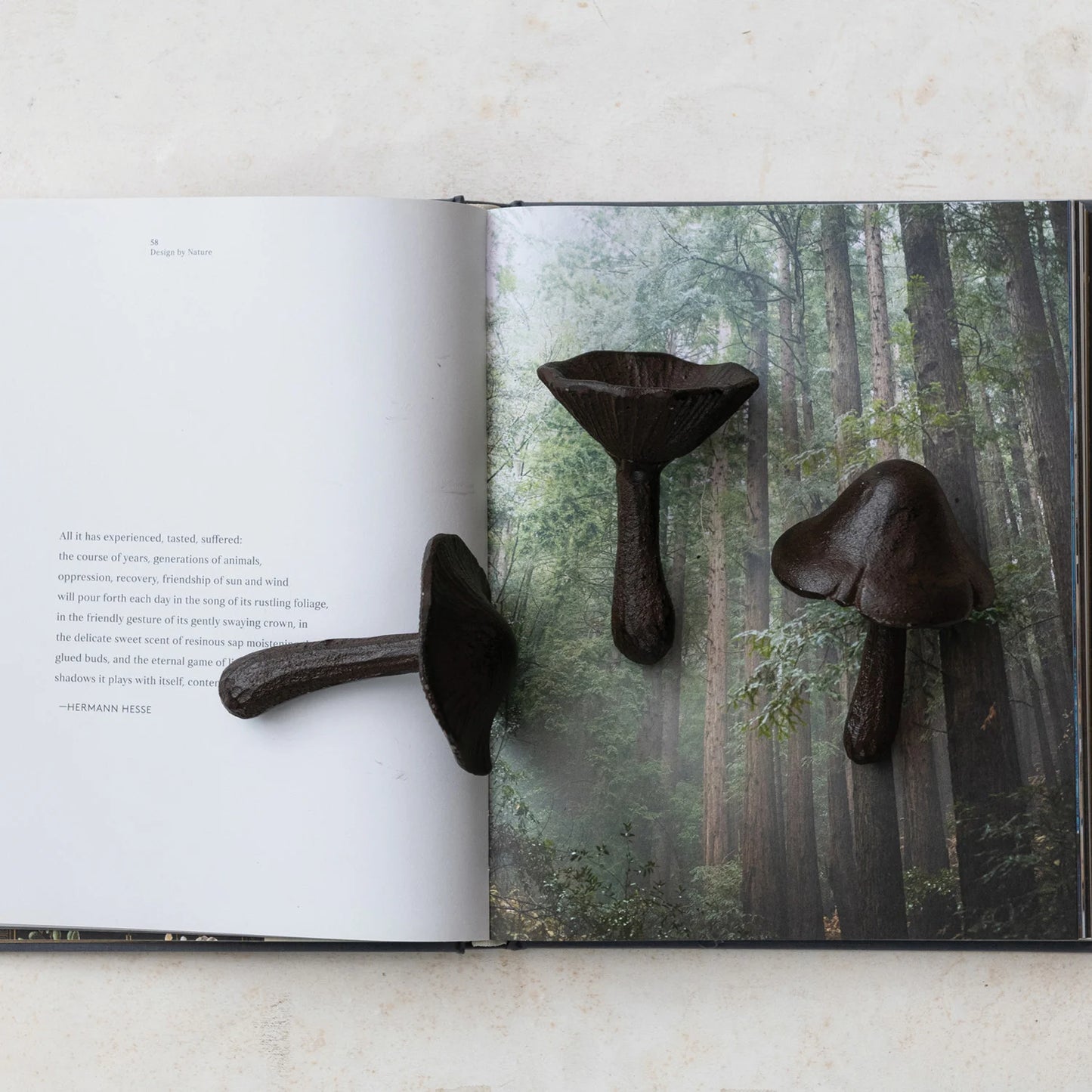 Cast Iron Mushroom