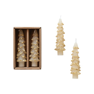 Unscented Tree Shaped Taper Candles w/ Gold Tips in Box