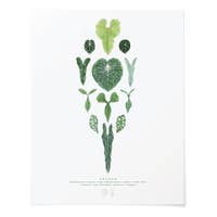 Araceae Print