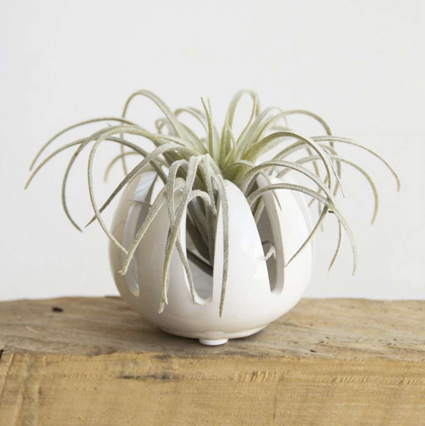 Small White Planter