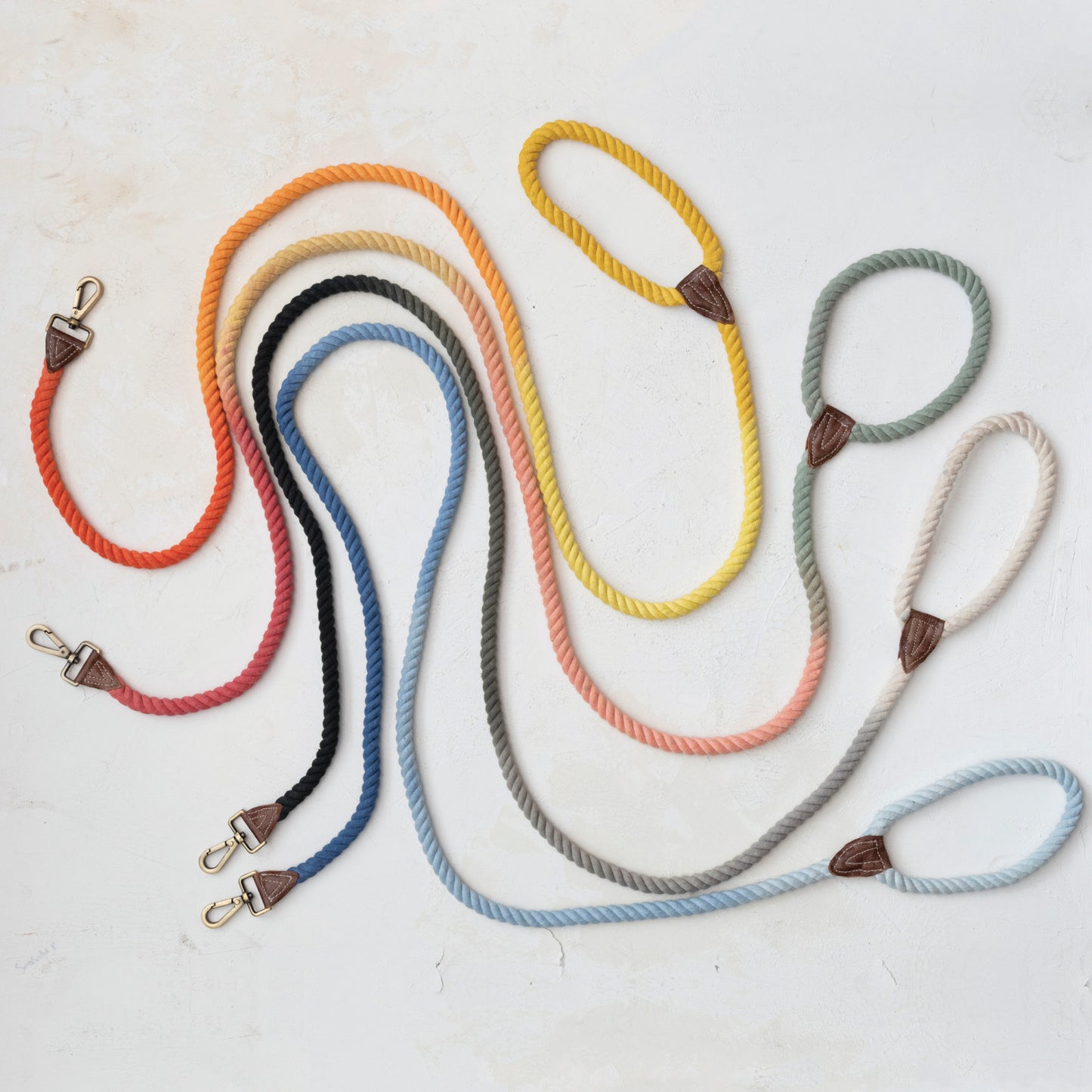 Ombre Rope & Leather Dog Leash