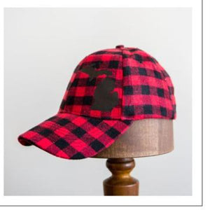 Michigan Baseball Hat